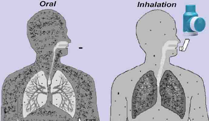 dry powder inhaler5.jpg