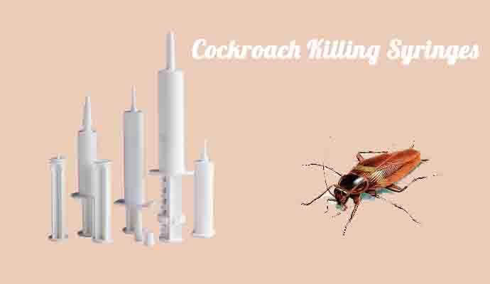 Syringe for cockroach gel killer
