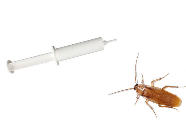The feature of syringe for cockroach gel