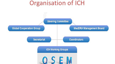 HDPE bottle latest YBB national standard will meet ICH standard