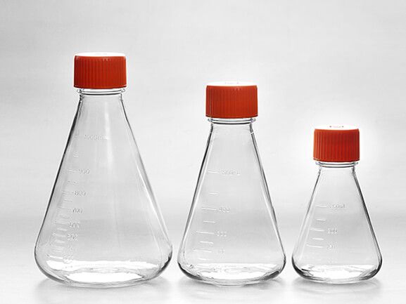 Erlenmeyer Culture Flask