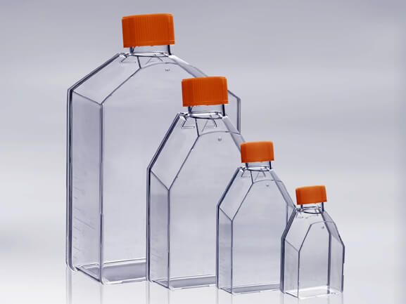 Cell Tissue Culture Flasks t25 t75 t175 t225
